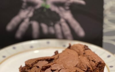 Plant-based chocolate brownies