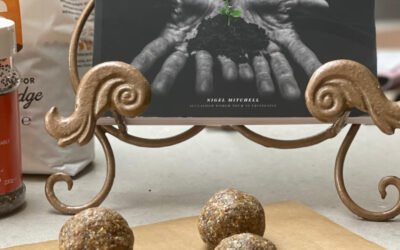 Plant-based energy balls/bars