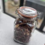 recipe-category