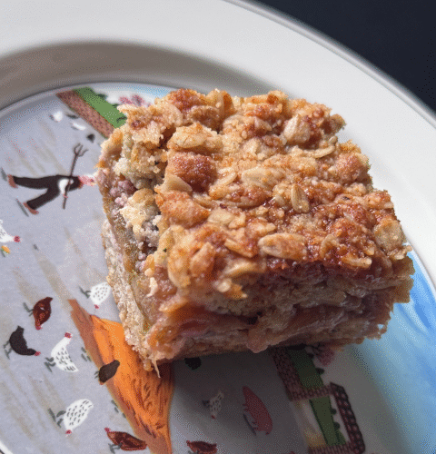 Oat Fig Bars
