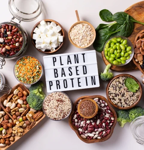 Plant-based Protein