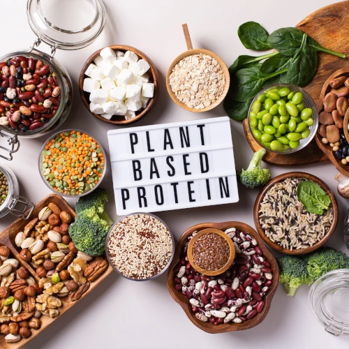 Plant-based Protein