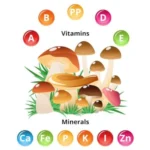 Nutritients – Good Fats