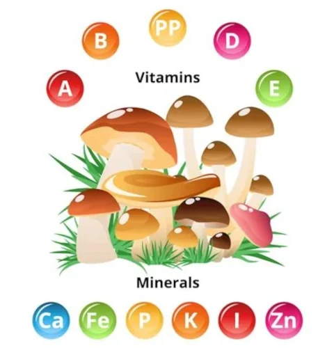 Plant-based Vitamins and Minerals