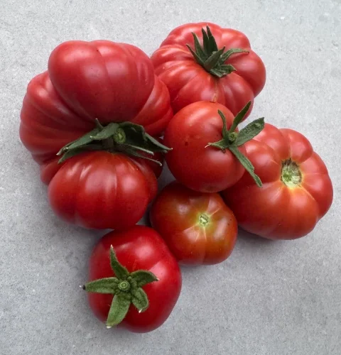 seasonal vegetables