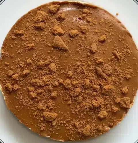 easy vegan biscoff cheesecake