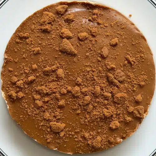 No-Bake & Dairy-Free Easy Vegan Biscoff Cheesecake easy vegan biscoff cheesecake
